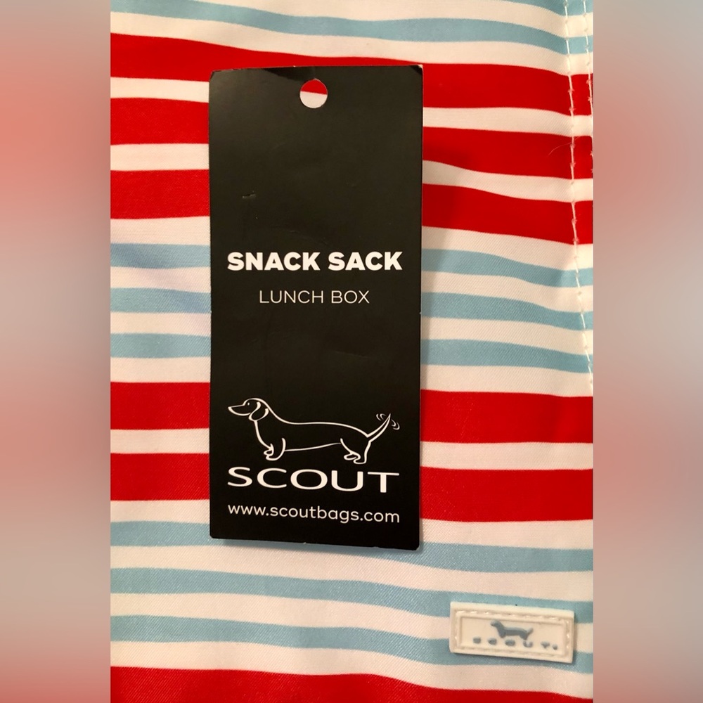 Scout Bags, Snack Sack Lunch Box, Field Day pattern